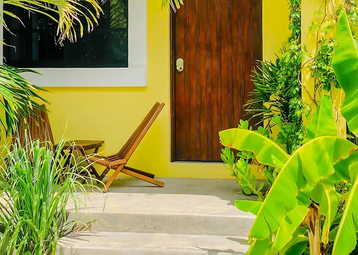 Gallo Azul Hotel, En El Corazon De Todos Santos